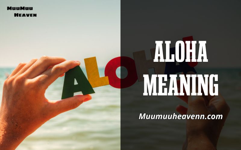 Aloha Meaning More Than Just a Greeting You Need to Know 2024