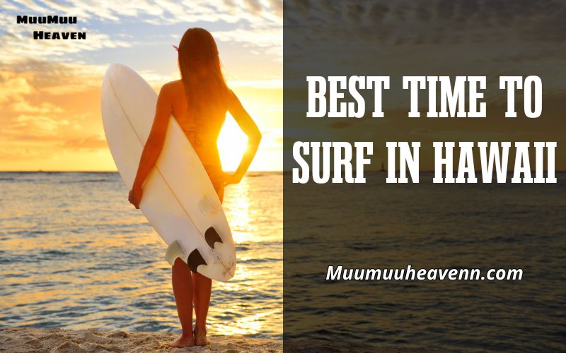 Best Time to Surf in Hawaii 2024 Seasonal Insights & Tips by MuuMuuheaven