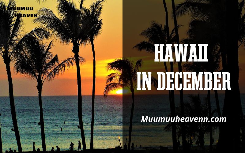Discover Hawaii in December with Muumuuheaven A Tropical Winter Escape 2024