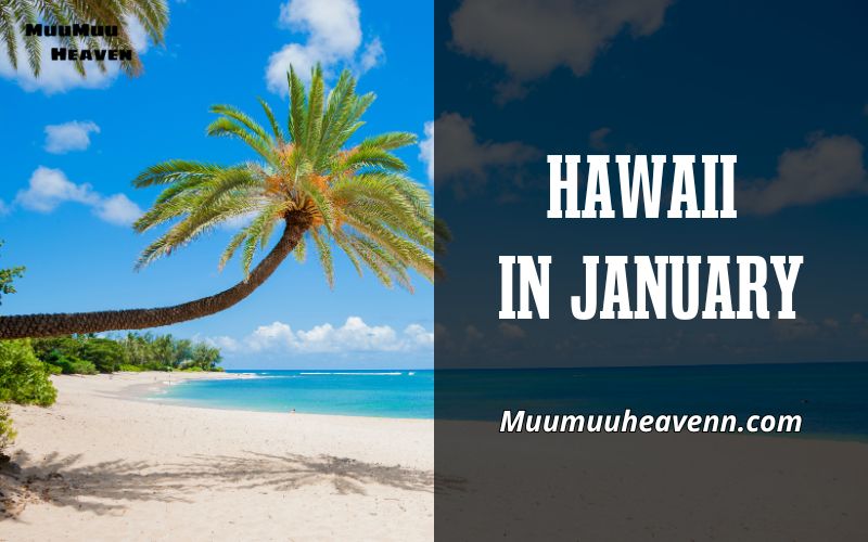 Discover Hawaii in January Your Ultimate Guide with Muumuuheaven