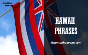 Discover the Beauty of Hawaiian Phrases A Guide for Every Traveler 2024
