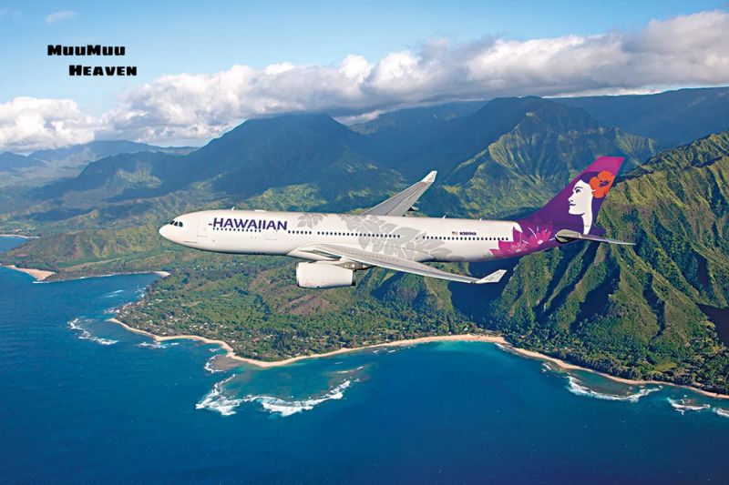 Top Airlines for Inter-Island Flights in Hawaii