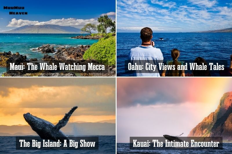 Top Locations for Whale Watching in Hawaii