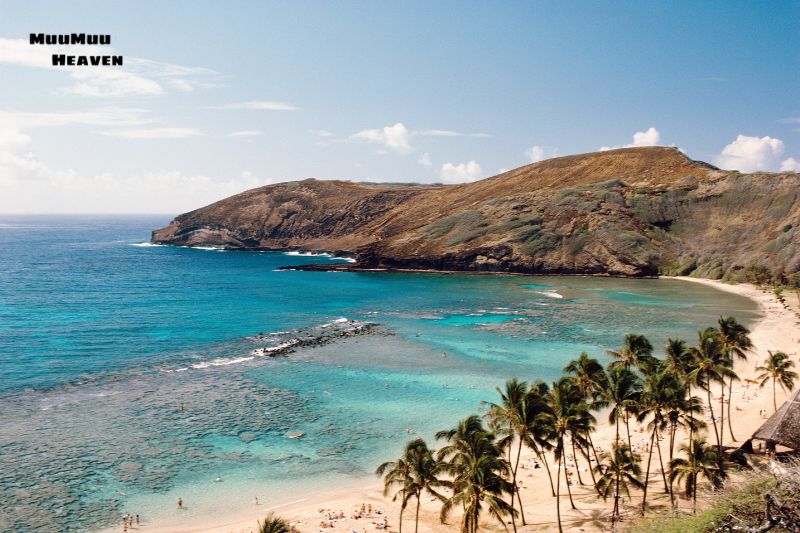 What to Expect from the Weather February in Hawaii?