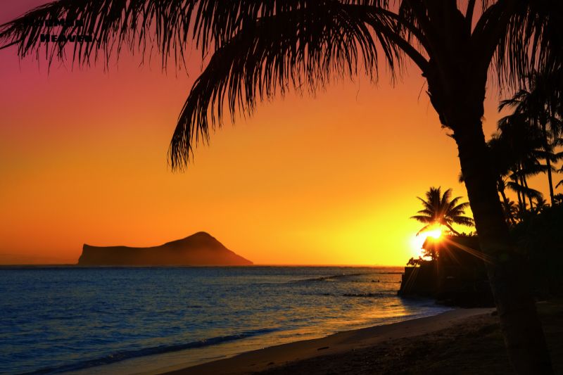 Why June is the Ideal Time for Hawaii