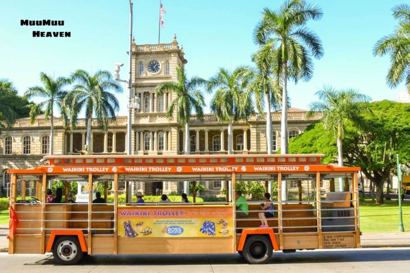 Best Practices for Using TheBus, Waikiki Trolley, and Other Local Services