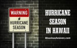Hurricane Season in Hawaii 2024 What You Need to Know - Muumuuheaven