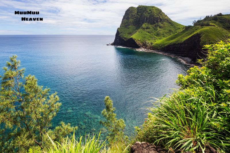 Maui Adventures Day 4-6