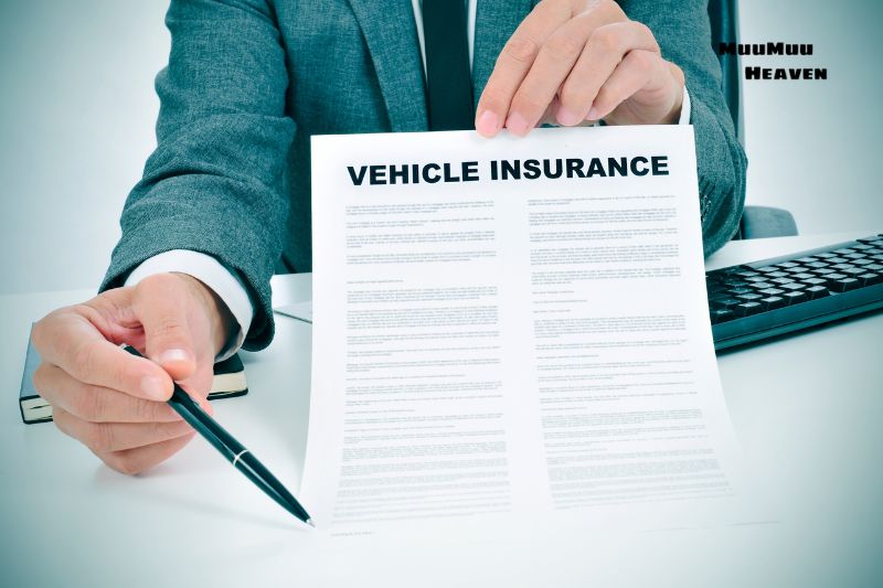 Understanding Car Rental Insurance Policies in Hawaii