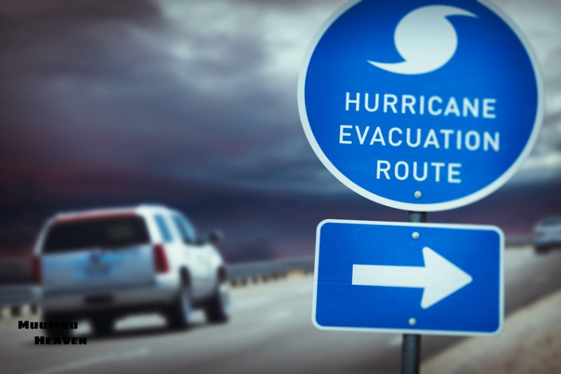 Understanding Local Evacuation Routes