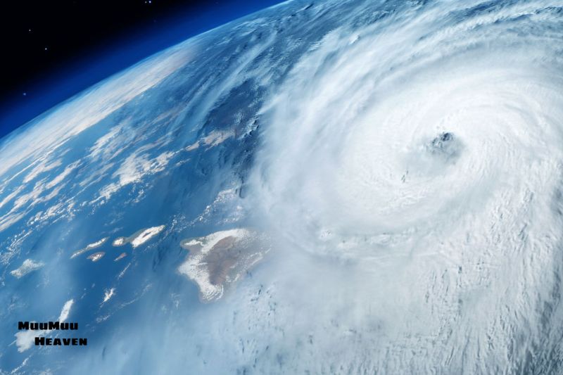 Understanding the Hawaiian Hurricane Season
